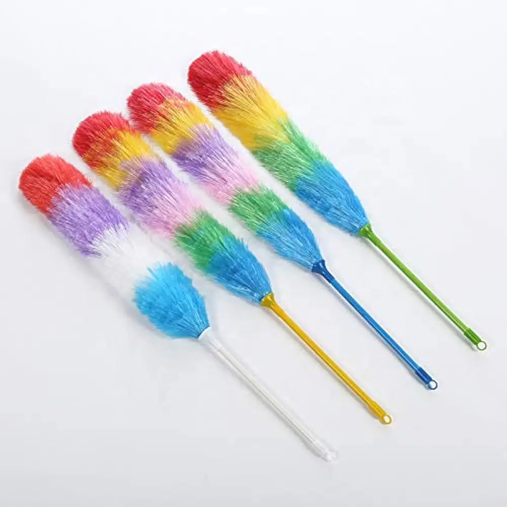 Duster & Brush